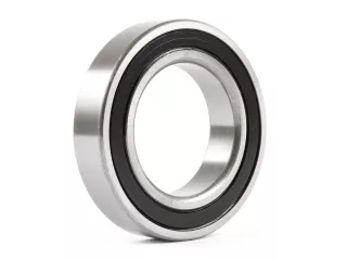 6009 2RS bearing, premium (1)