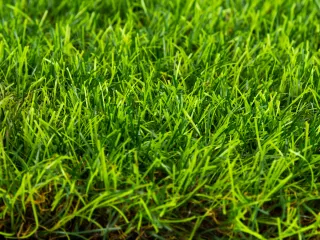 Artificial turf 4 cm long, made of four-color fibers with a density of 21,000 stitches/m2 (1)