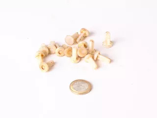 Belarus/MTS Förderpumpe Ventil (0)