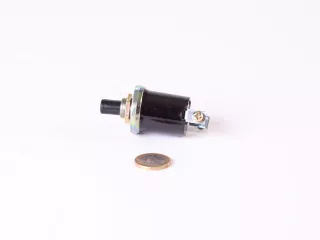 Belarus/MTZ horn switch (0)