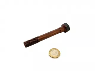 Belarus/MTZ screw 047 (cylinder head short) (0)