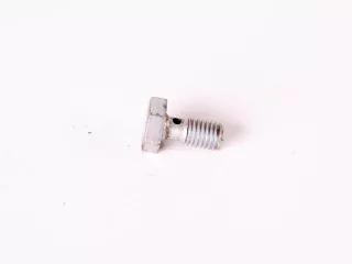 Belarus/MTZ screw 101(petrol filter air vent) original (1)