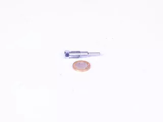 Belarus/MTZ screw 102(precombution chamber insert 50) (0)