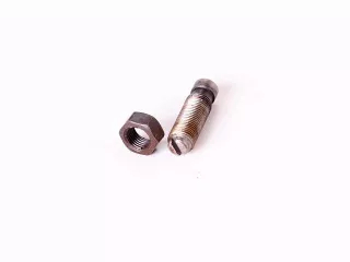 Belarus/MTZ screw 175(valve adjuster)+locking nut (1)