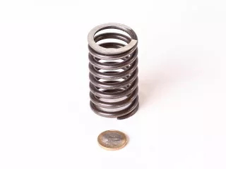 Belarus/MTZ spring 045 (external valve) (0)