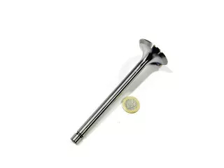 Belarus/MTZ valve original (intake) original (0)