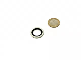Belarus rubber washer 17/22 (hole for screw) (0)