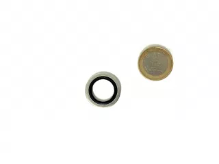 Belarus rubber washer 17/22 (hole for screw) (1)