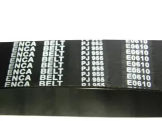 flat belt for seeder machines (19/955J) (1)