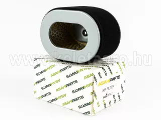 Force 110 air filter (5)