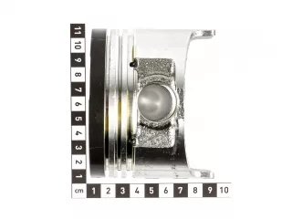 Force 110 Ex Kolben mit Ringsatz (4)