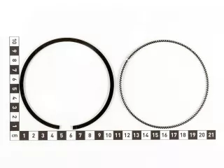 Force 110 Ex Kolben mit Ringsatz (7)