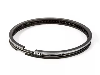 Force 110 Ex piston ring set (1)