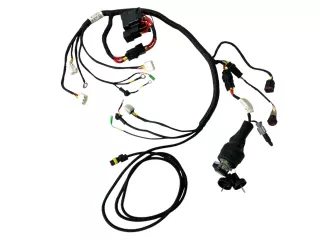 Force 210 wiring harness KY-33650 (Dashboard & Ignition Assembly Harness) (0)