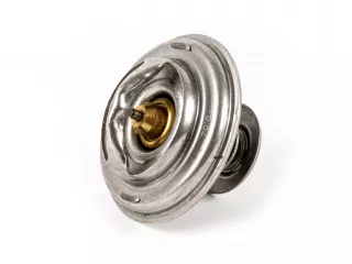 Force 304 thermostat (2)