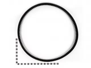 Force 304 V-belt (1)