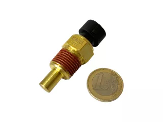 Force 324 Kühlmitteltemperatursensor 1 (0)