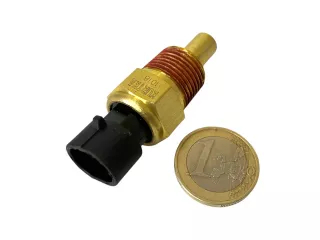 Force 324 Kühlmitteltemperatursensor 1 (1)