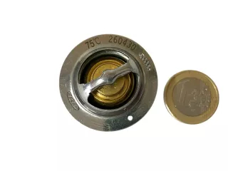 Force 324 thermostat (0)