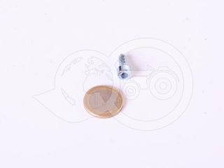 Screw M5x12 socket head screw (Belarus/MTZ door handles) (0)