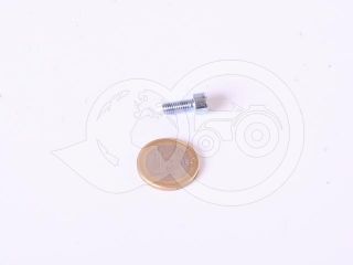 Screw M5x12 socket head screw (Belarus/MTZ door handles) (1)