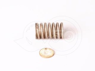 Belarus/MTZ spring 138 (feeder) (0)