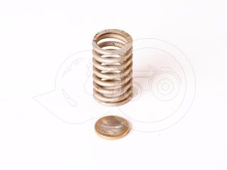 Belarus/MTZ spring 138 (feeder) (1)