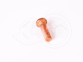 Belarus/MTZ screw 982(copper,magnet switch,bakelite cover) (1)