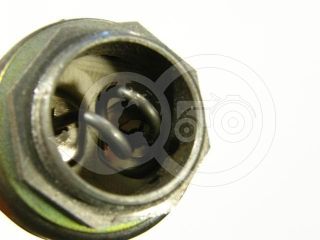 Belarus/MTZ ignition indicator 50 (1)