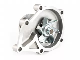 Iseki TU1900 Wasserpumpe (4)