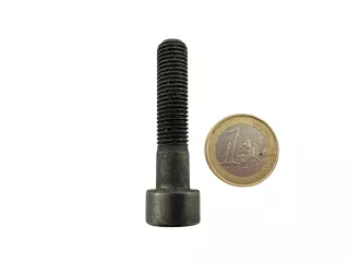 M10X45 socket screws, hex (1)