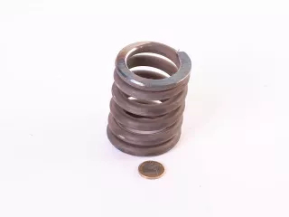 MBP Kupplungsfeder (0)