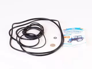 MTS Trieber vorder Brücke Gummiring + Wellendichtring Set (1)