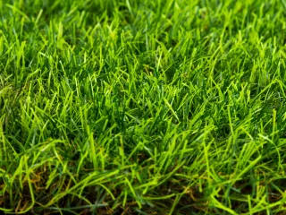 Műfű 4cm-es, 4 színű szálból,  21.000 öltés/m2 sűrűséggel készítve (1)