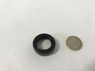 Oil seal 20x30x10 (0)