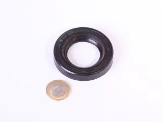 Oil seal 35x58x10, russian (0)