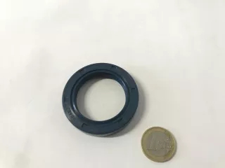 Oil seal 38x52x10 (0)