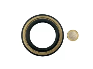 Oil seal 53x79x10 (2)
