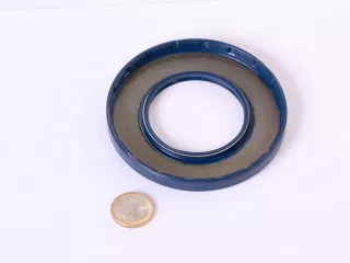 Oil seal 55x100x10 (1)