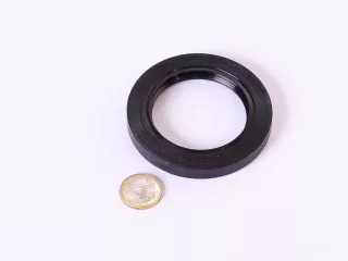 Oil seal 55x80x10 (0)