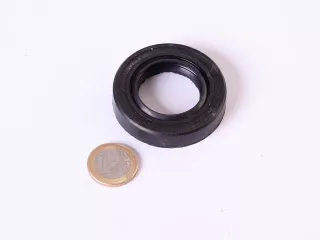 Wellendichtring 30x52x10 (MTS Trieber vorder Brücke 040-Hülse) (0)