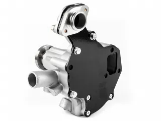 Yanmar FX305D water pump (4)