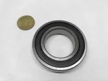6007 2RS bearing