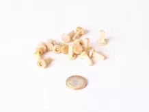 Belarus/MTZ feed pump valve