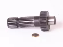 Belarus/MTZ PTO shaft gear (21 ribbed)  original