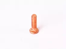 Belarus/MTZ screw 982 (copper, magnet switch, bakelite cover)