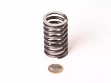 Belarus/MTZ spring 045 (external valve)