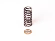 Belarus/MTZ spring 046 (internal valve)