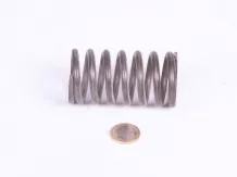 Belarus/MTZ spring 115 (new clutch type)