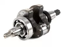 Force 110 crankshaft